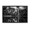 Stupell Industries Forest Trees Lake Reflection Framed Floater Canvas Wall Art Design by Rick Berk